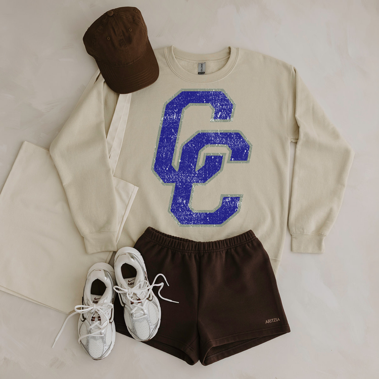 Simple Distressed Mascot Sand Sweatshirt
