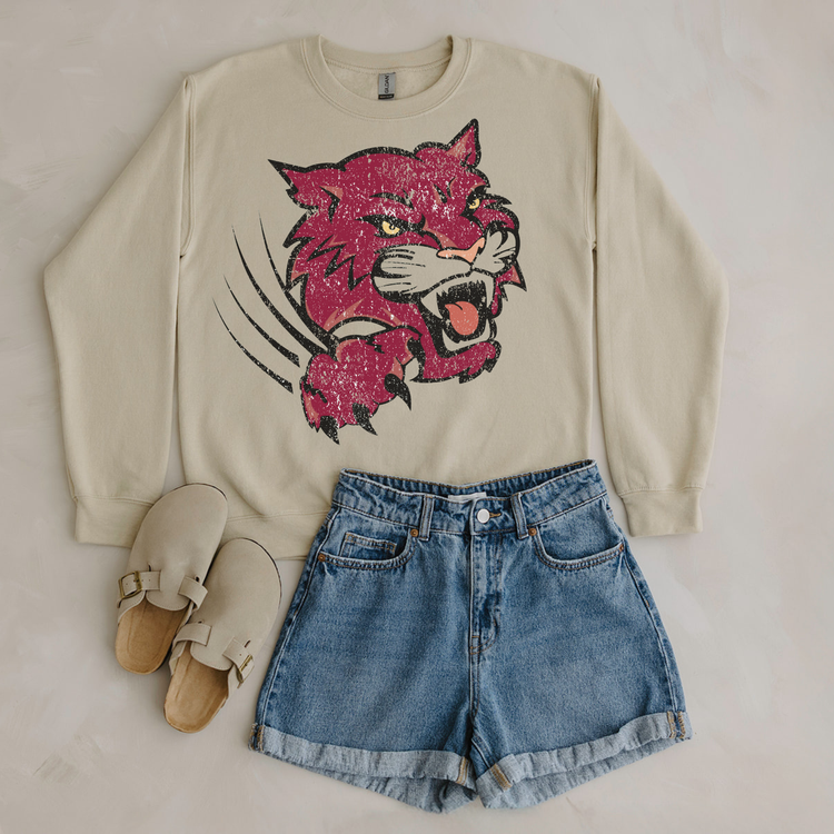 Simple Distressed Mascot Sand Sweatshirt