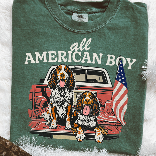 all american boy